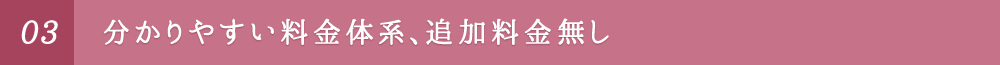 分かりやすい料金体系、追加料金なし