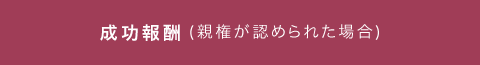 親権が認められた場合の成功報酬